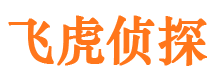 通榆商务调查